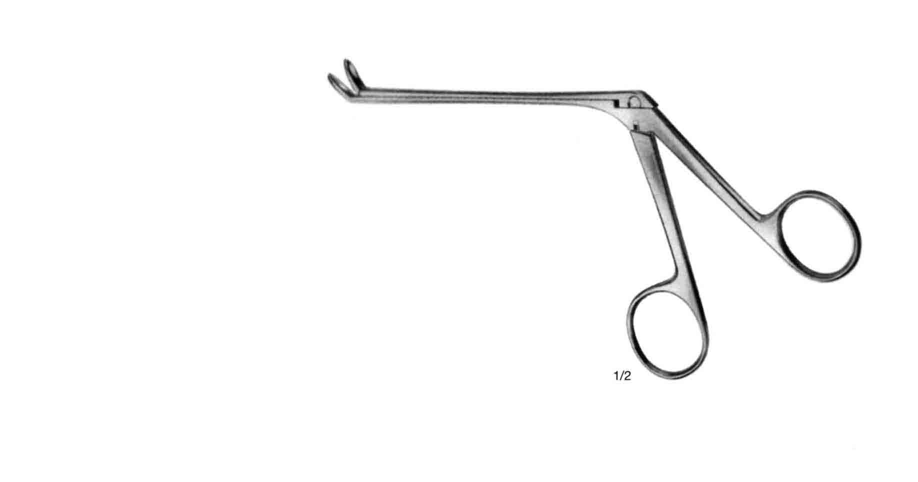 WEILL-BLAKES RONJUR  DÜZ YUKARI